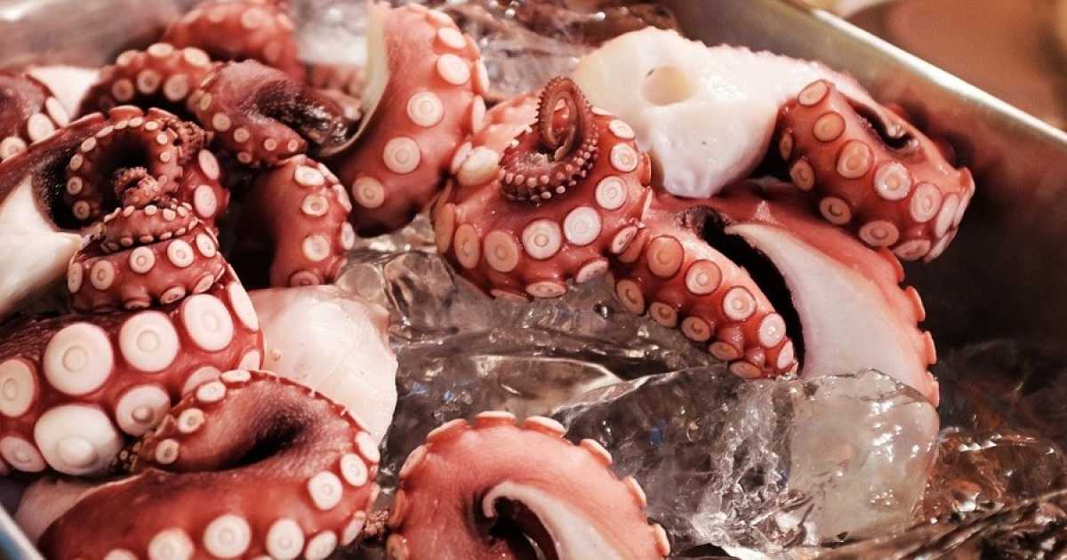 Bari citt� senza "stelle": ecco perch� i ristoranti sono snobbati dalla guida Michelin